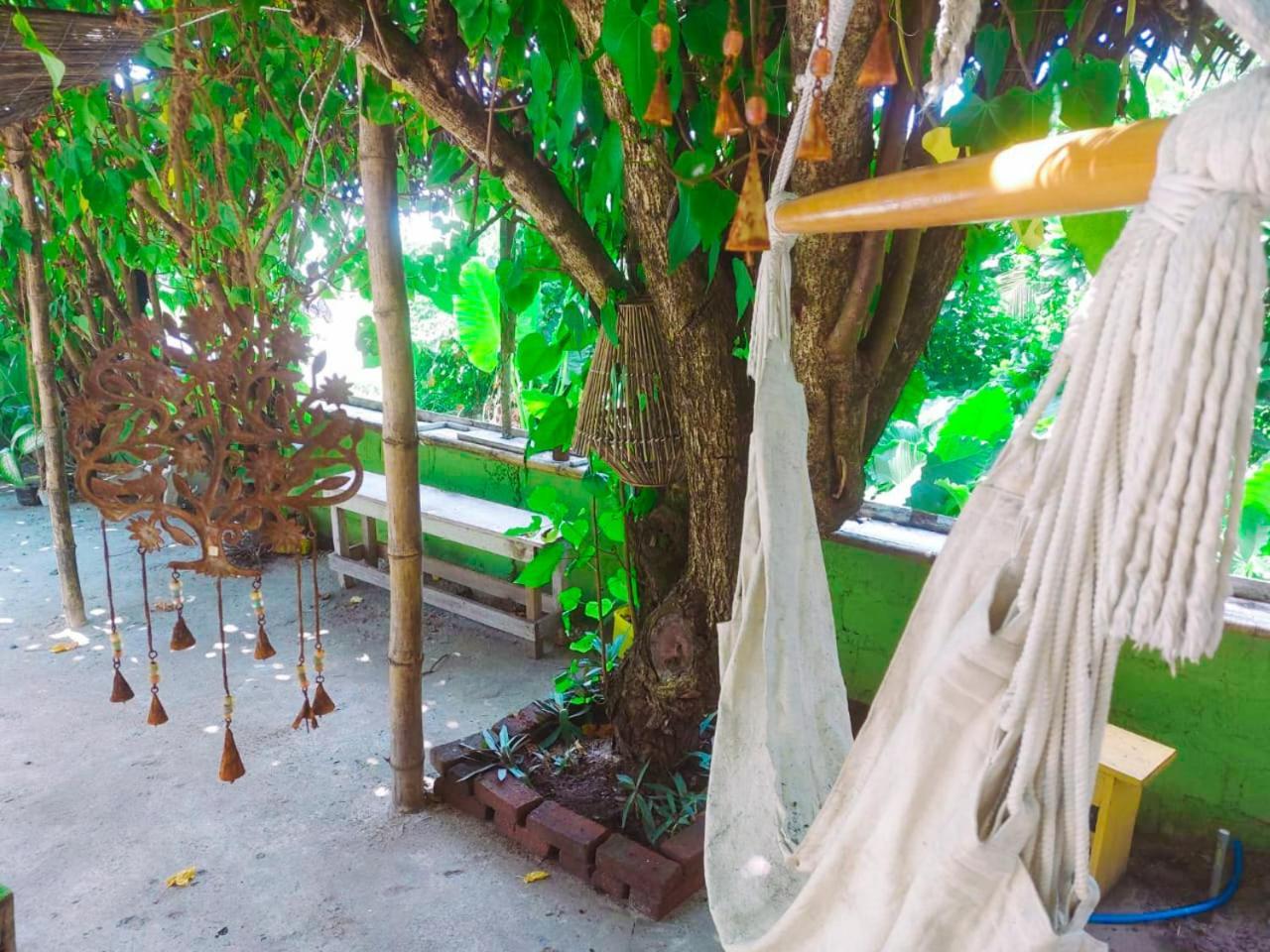 Gaia Ocean Surf Yoga Hostel Ahangama Exterior photo
